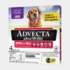 Advecta Large Dog