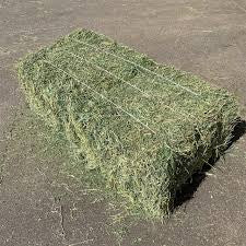 Alfalfa Bale