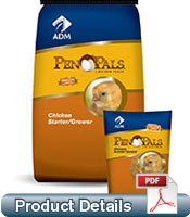 Pen Pals Chick Starter/Grower 18