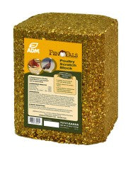 Pen Pals Scratch Block