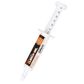 SureChamp Clench Gel 30 ML