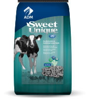 Textured Calf Starter 18%