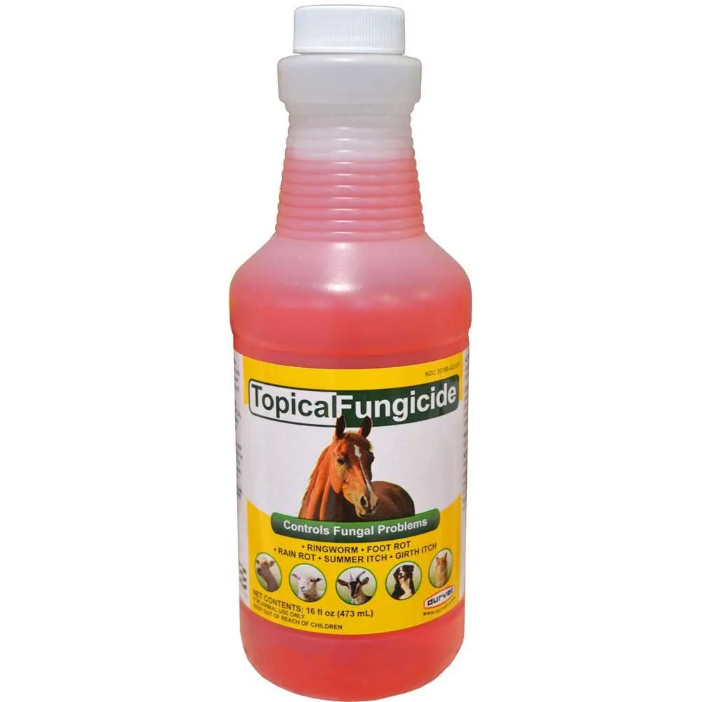 Antifungal Equine Shampoo 32oz