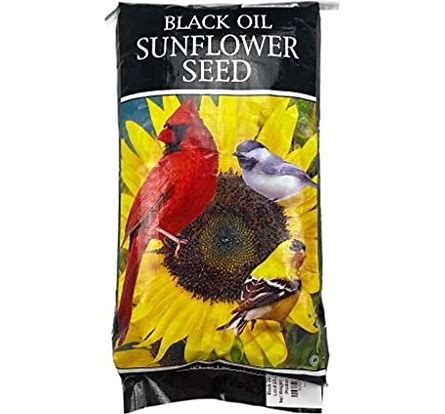 Black Oil Sunflower