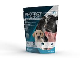 Lifeline Protect All Species Colostrum