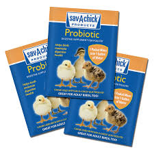SAV-A-Chick Probiotic