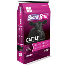 Show-Rite Cruiser
