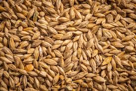 Whole Barley 50#