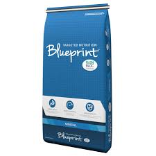 Hubbard Blueprint Sheep Supplement