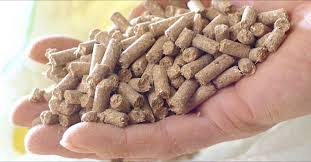 Cool-Aid Pellet