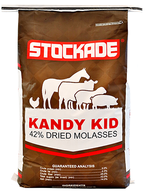 Dried Molasses 38%