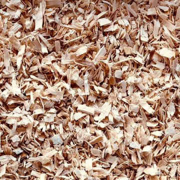 CS Fine Wood Shavings