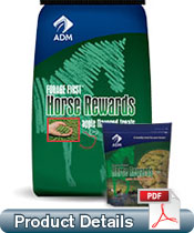 Forage First Horse Rewards 8-3lb bags
