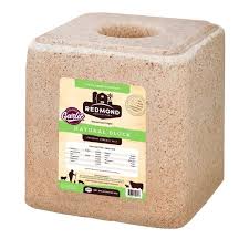 Redmond Salt Block w/Garlic