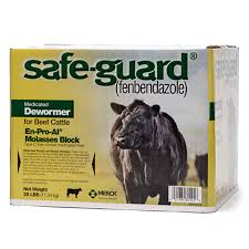 Safe Guard Wormer Block
