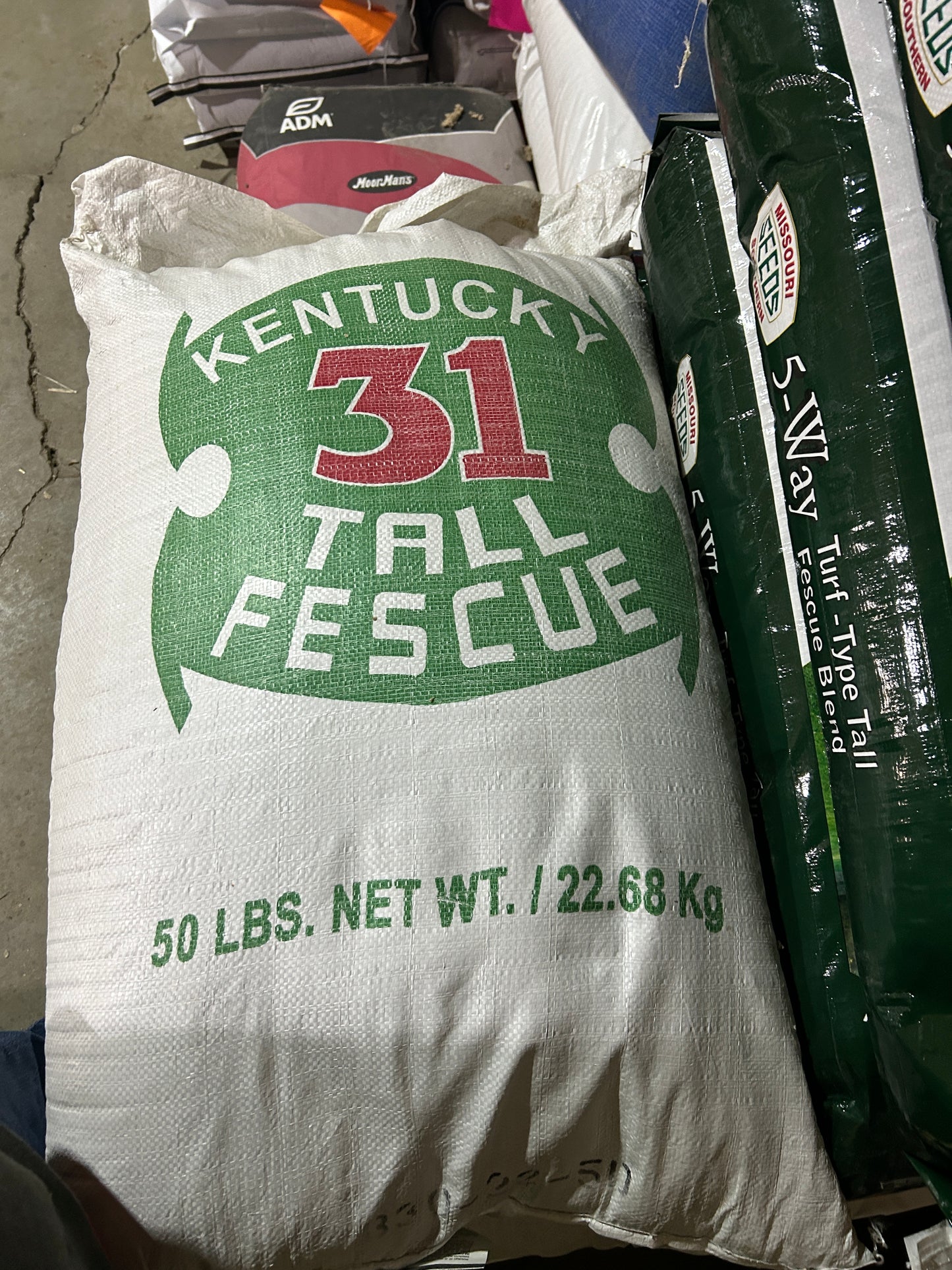 Kentucky 31 Tall Fescue 50lb