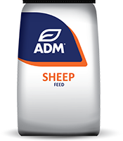 ADM 36% Sheep Concentrate BT