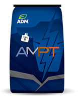 Ampt-M Plain