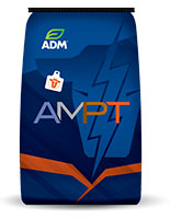 AMPT-T EF/Breeder Cattle Mineral