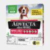 Advecta Medium Dog