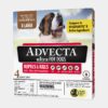 Advecta XL Dog
