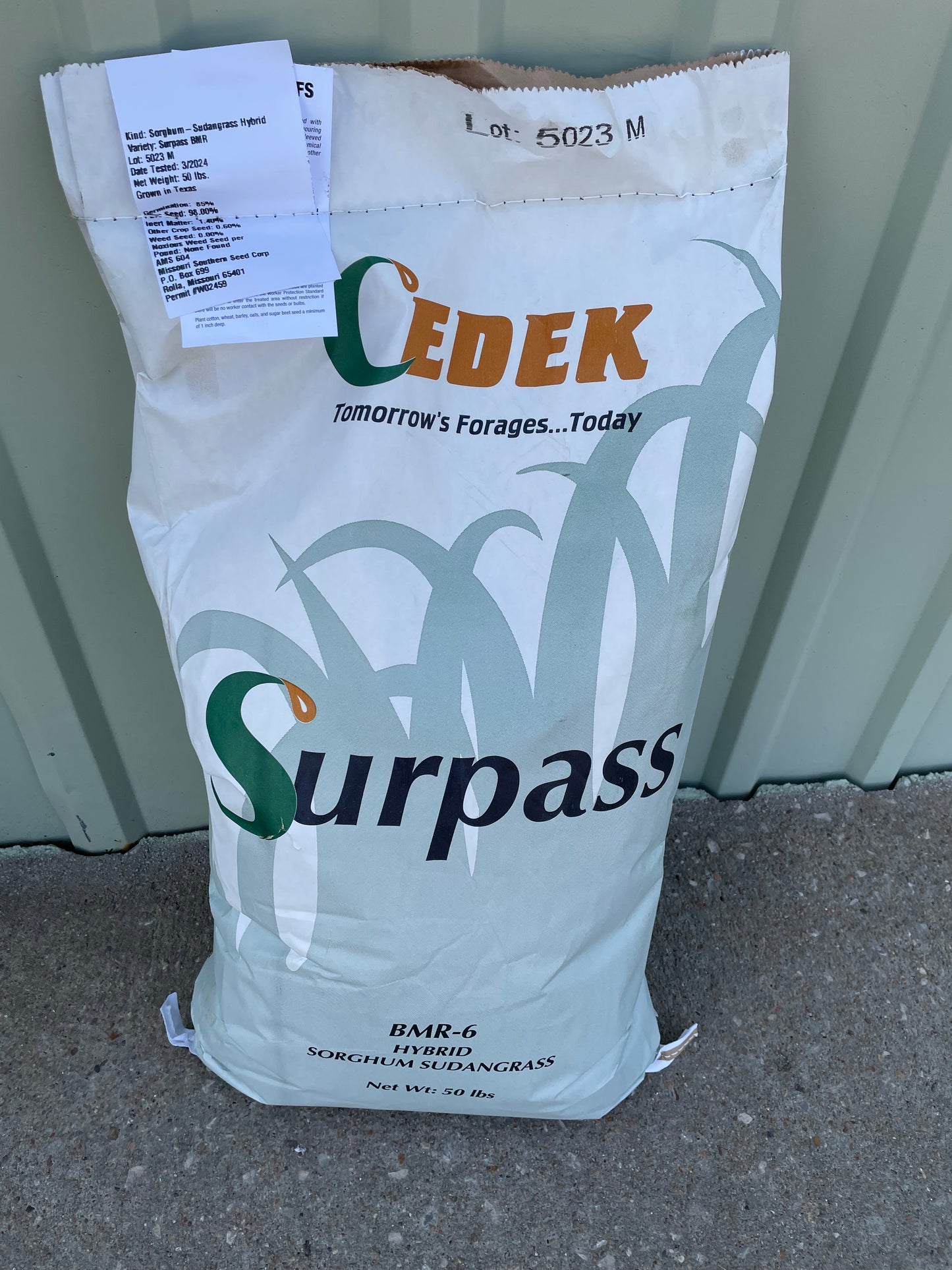 Surpass Sorgo-Sudan