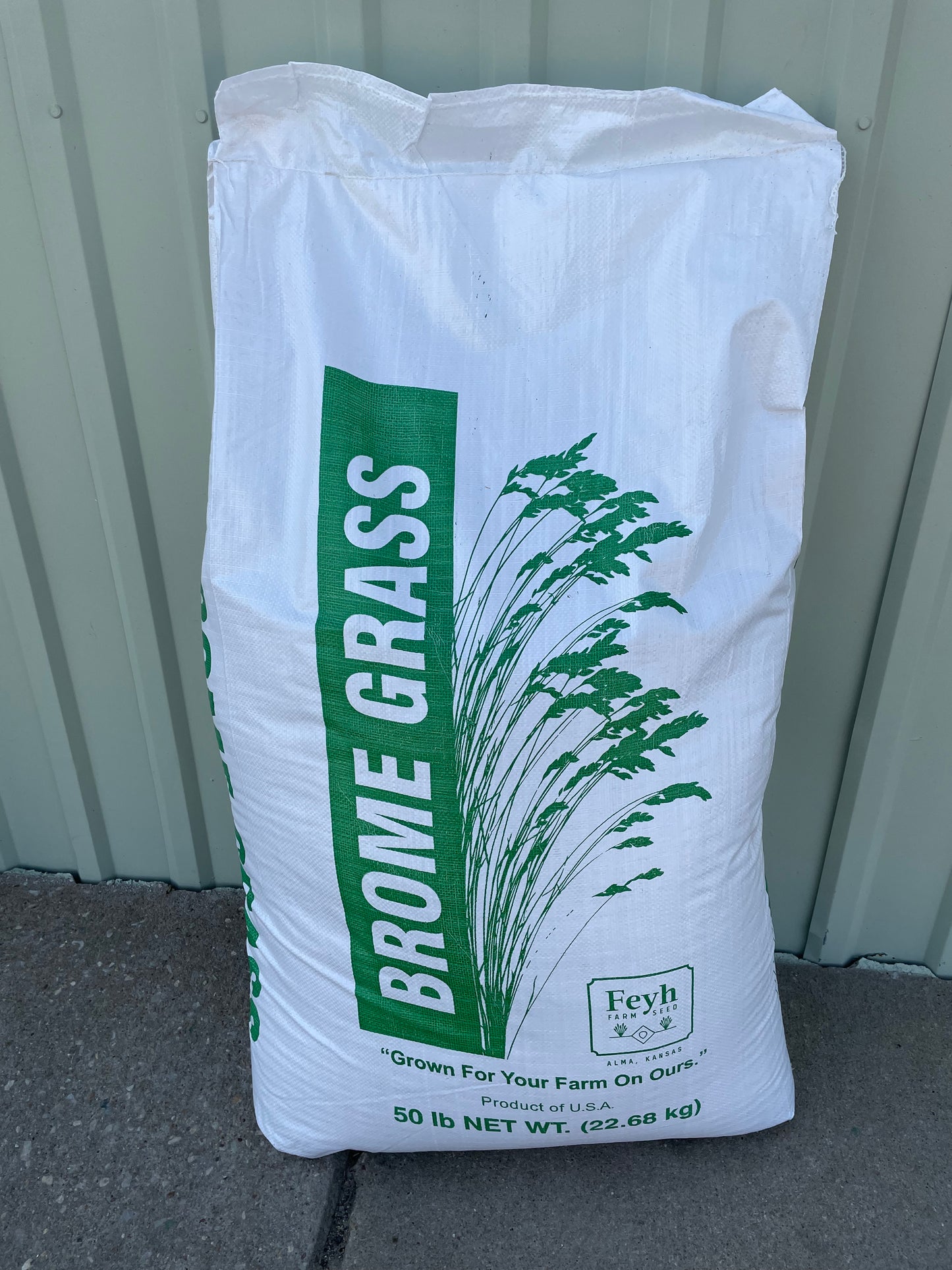 Smooth Bromegrass