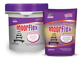 Showtec Moorflex 3.75lb bag