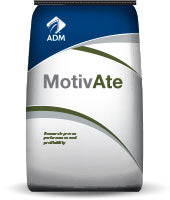 Motivate 15/25 Pig Starter w/ CBX