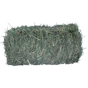 Prairie Hay