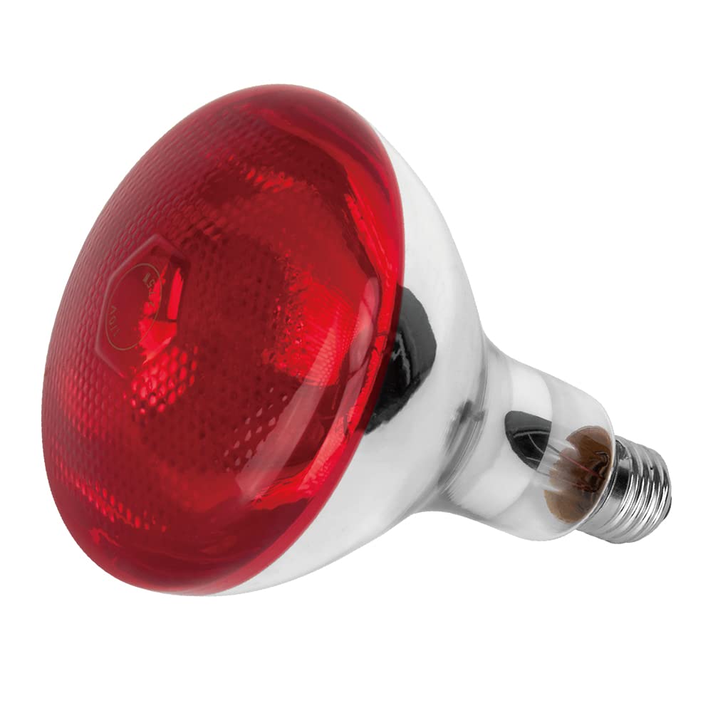 Red Heat Lamp Bulb