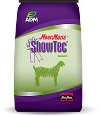 Showtec Goat Sale Prep Medicated