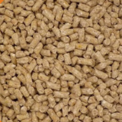 Organic 16% Layer Pellet