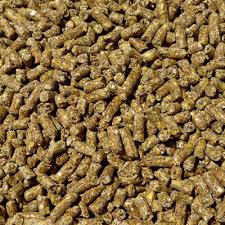 Organic 14% Dairy Feed