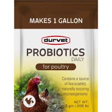 Poultry Chick Probiotics