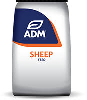 W/M Sheep Mineral