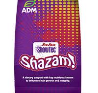 Showtec Shazam