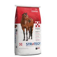 Purina Strategy