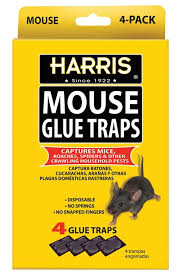 Mouse Glue Traps