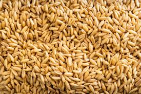 Organic Whole Oats 50lb