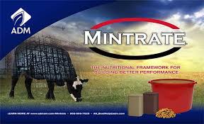 Mintrate 30 EF/Breeder Tub