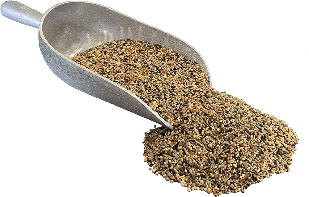Inshell Peanuts 13lb