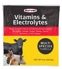 Vitamin & Electrolyte Plus 8oz