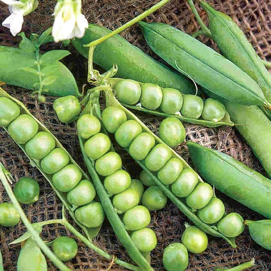 Ounce Little Marvel Peas