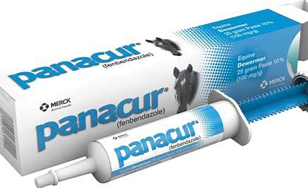 Panacur Paste Syringe