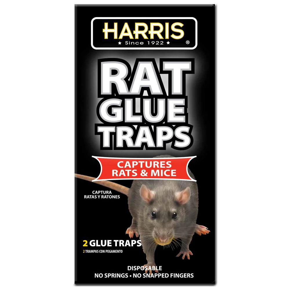 Rat Glue Traps