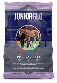 JUNIORGLO Horse Feed