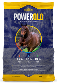 GROSTRONG POWERGLO Horse