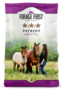 Patriot Mare & Foal Horse